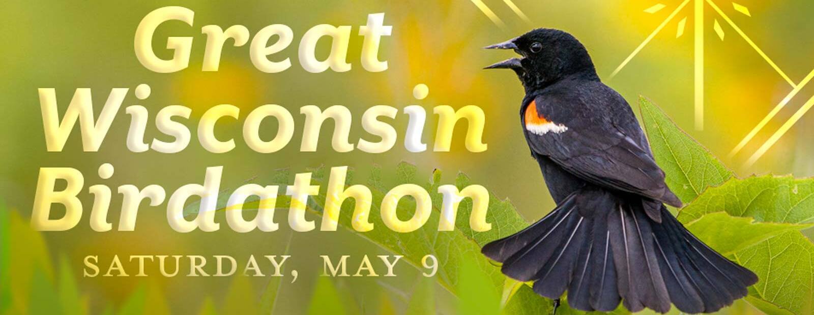 2026 Great Wisconsin Birdathon